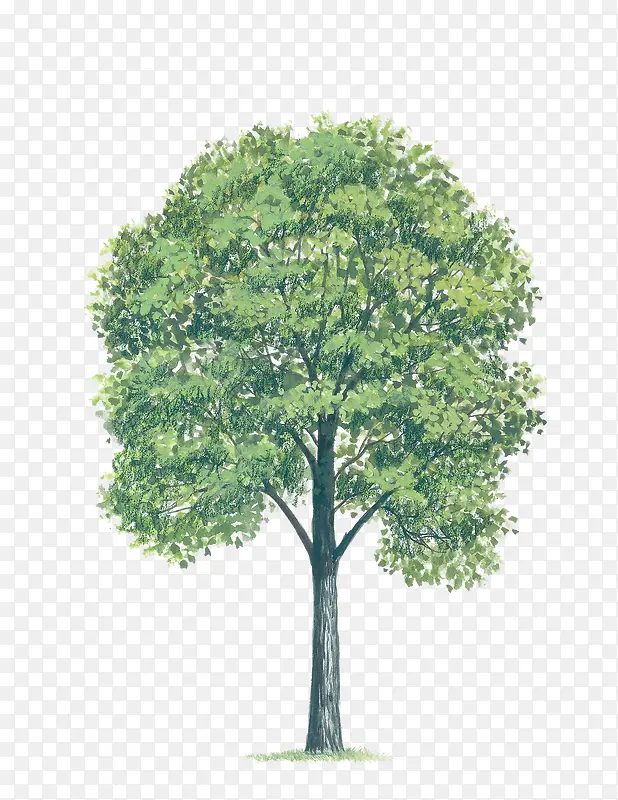 ֲ�� ����-������