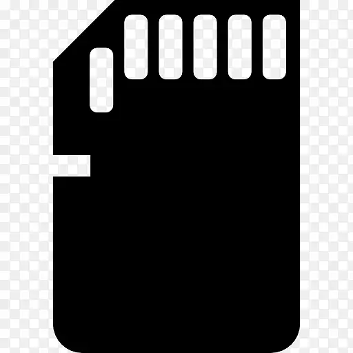 �����ͼ�����ݴ洢-SD��-������