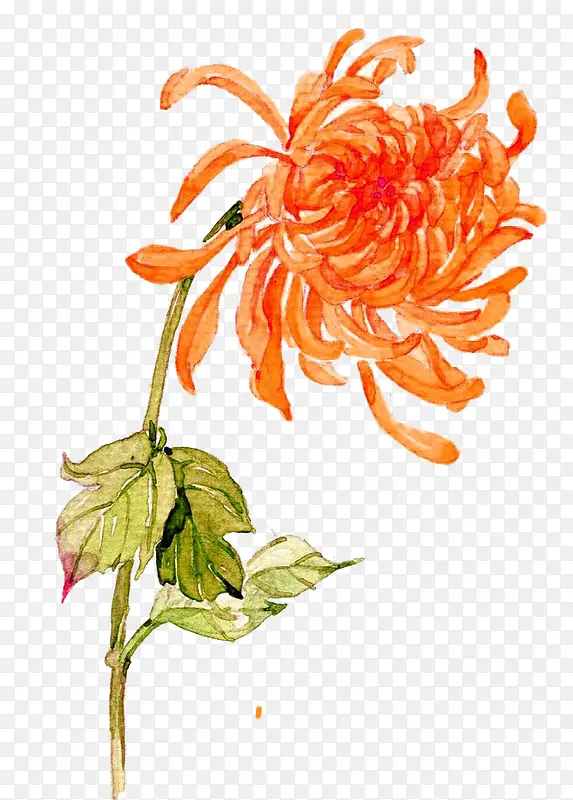 ˮ�ʾջ�-������