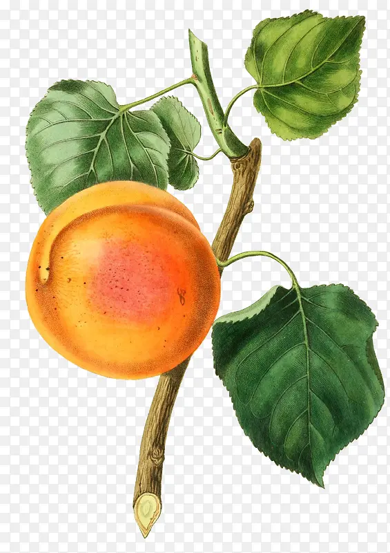 ��ͨ�ֻ�ˮ��װ�κ������-������