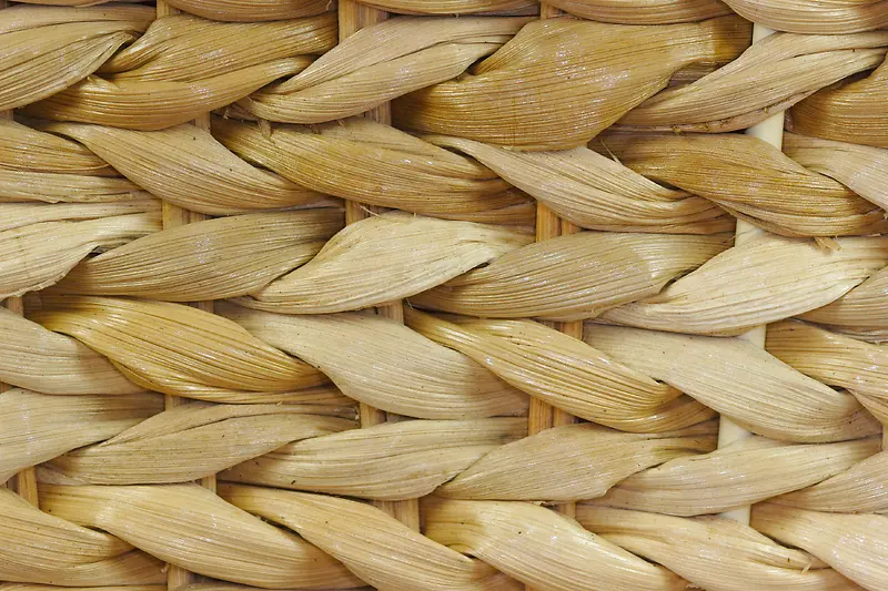 ��֯��������-������