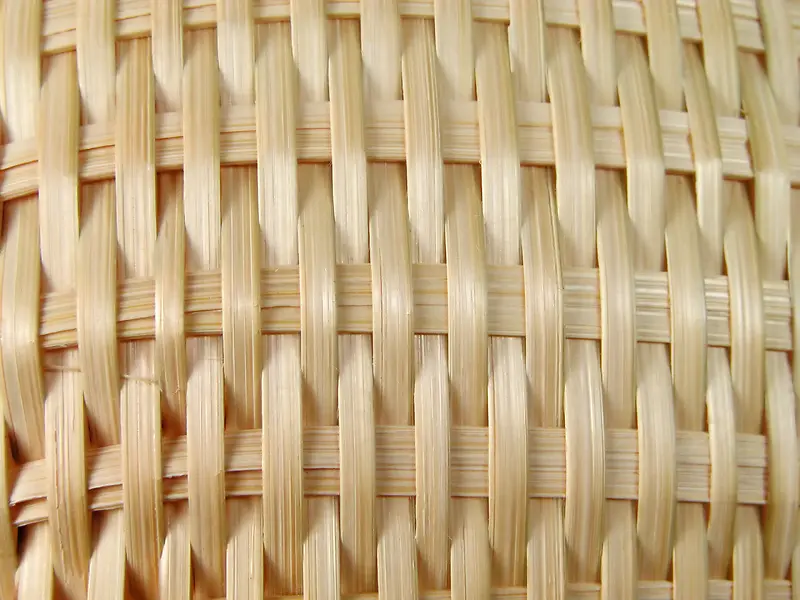 ��౳������-������