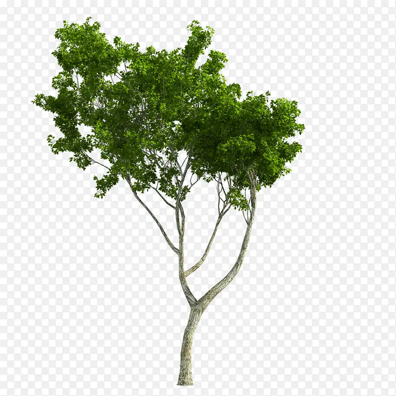 ����ز���-������