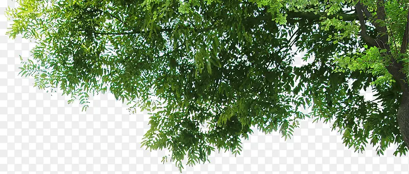 ����ϳ���Ӱ��ɫ�Ĵ���-������