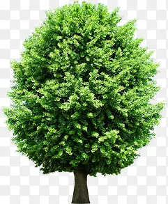 ������Ӱ�������Ч��-������