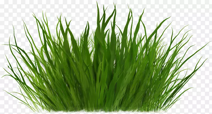 ������-��-������