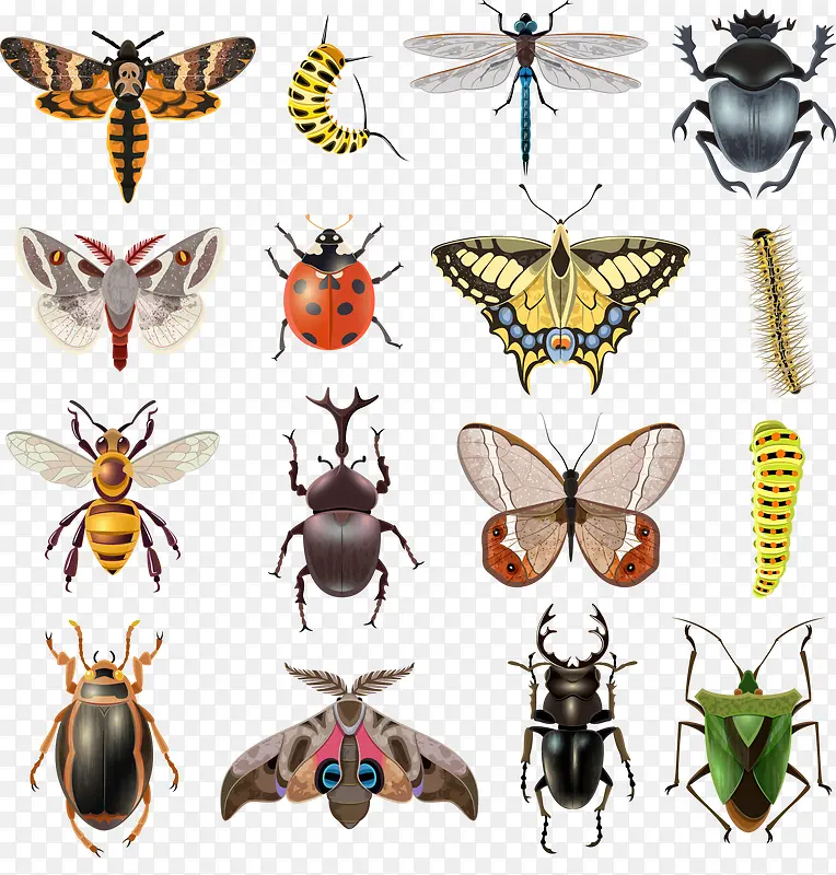 ��������ʸ��-������