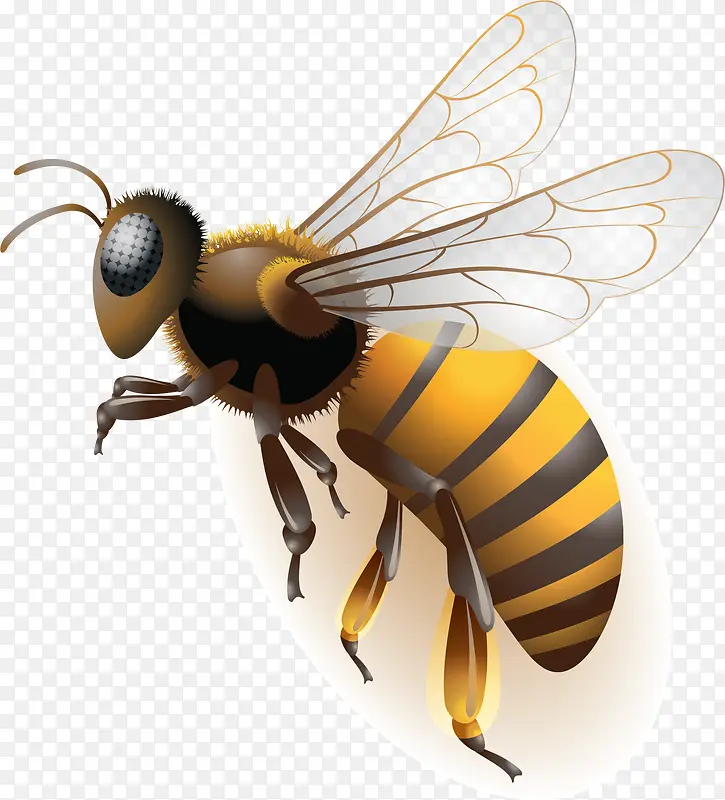 �۷��ز�-������