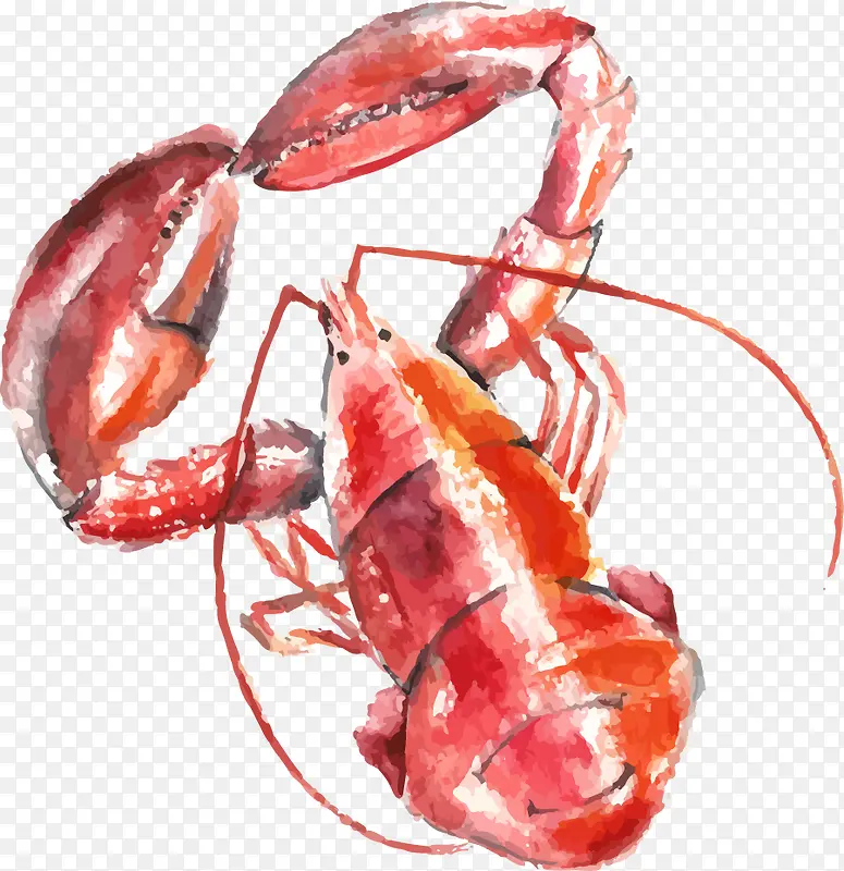 ˮ����Ϻ-������