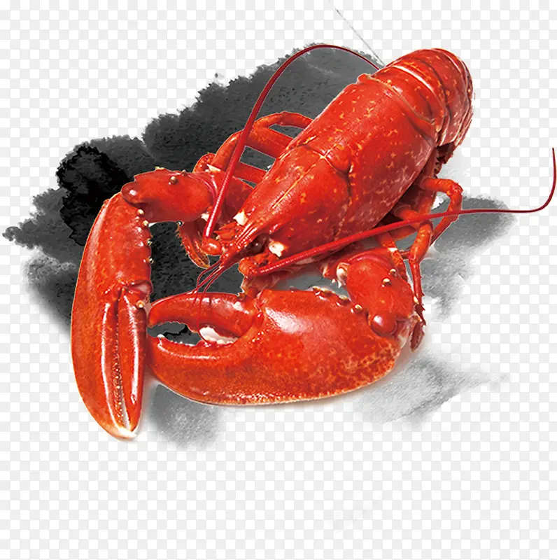 ��ͨ��Լ��ʳװ�ι�������Ϻ-������