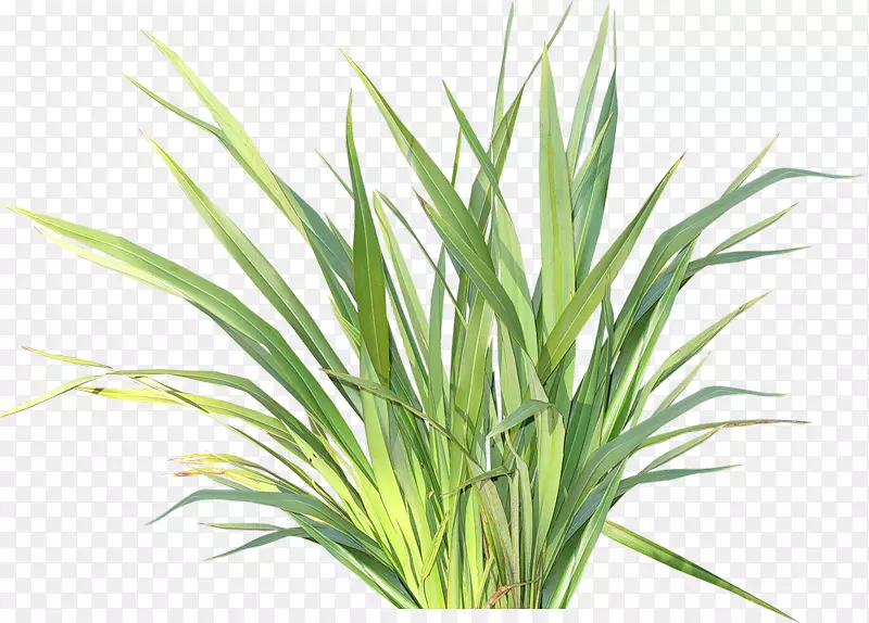 ������-������