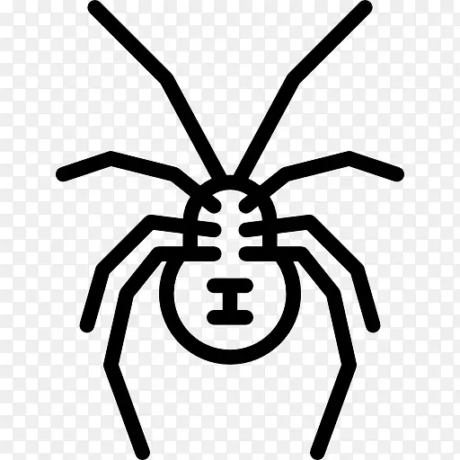 �ڹѸ�֩��ͼ��-������