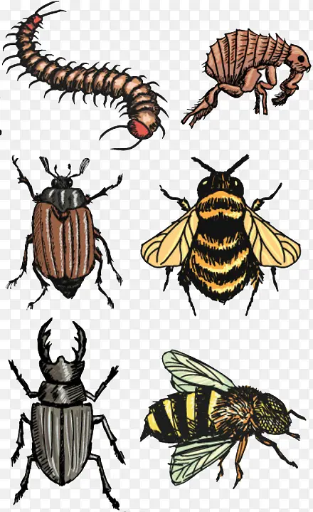 ����ϼ�-������