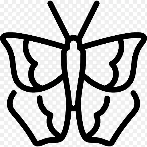 Ѳ�󽢵ĺ���ͼ��-������