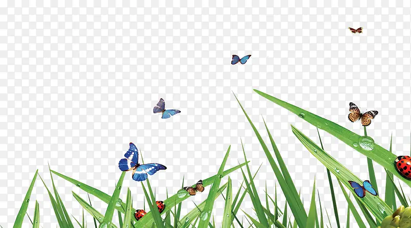 С��-������