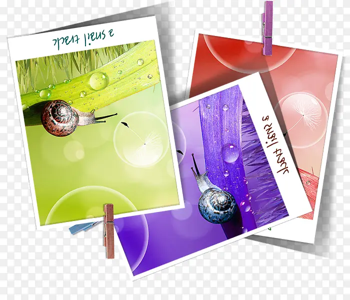 ʵ���ɫ��ţ��Ƭ-������