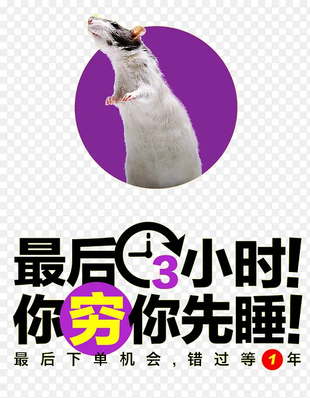 ˫ʮ������-������