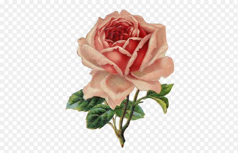 õ�廨�ͻ�-������