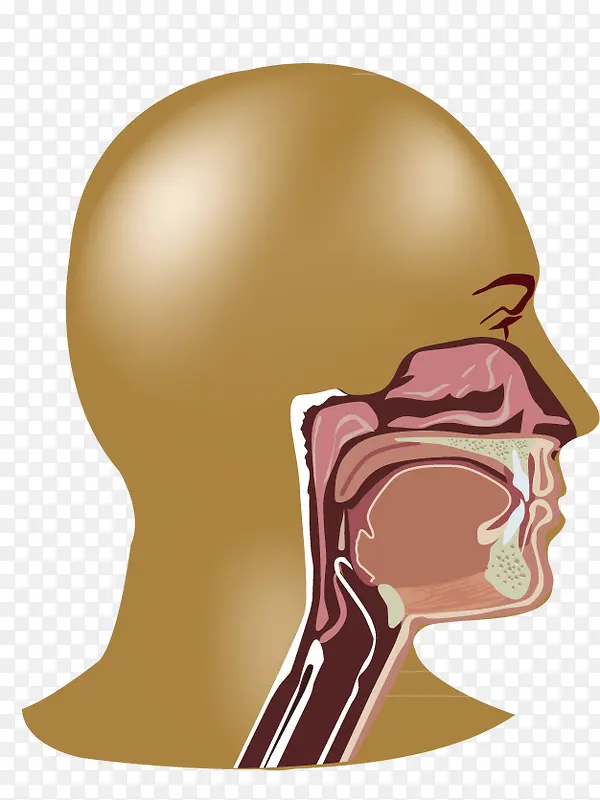 ����ϵͳ-������