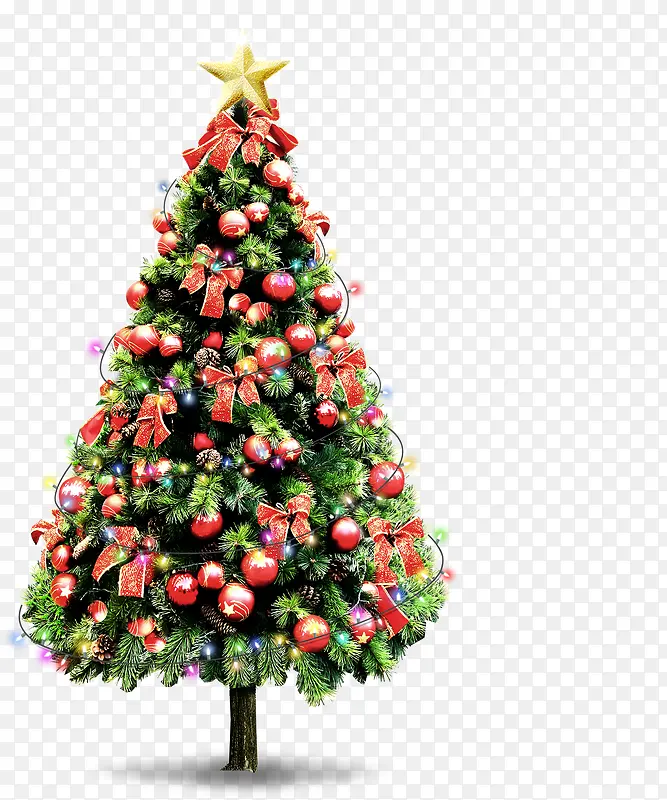 ʥ������������ز�-������