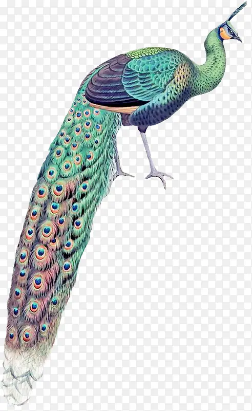 �ֻ��ȸ-������