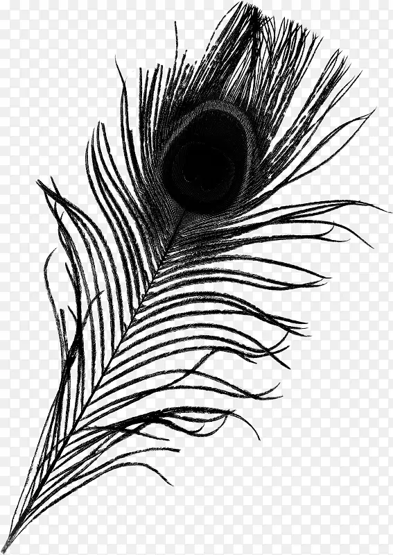 �ֻ��ɫ��ȸ��ë-������