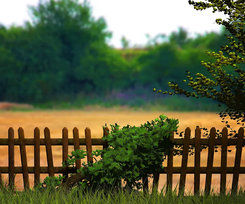 դ���羰��Ӱ-������