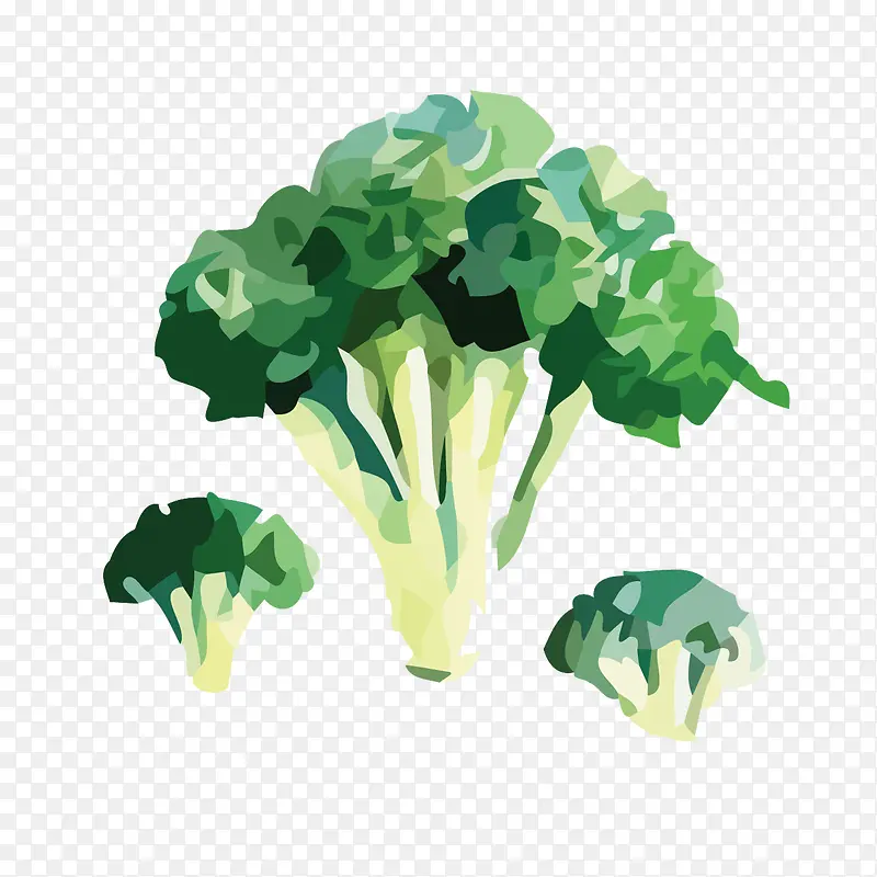 ʸ���ֻ��������߲��ز�-������