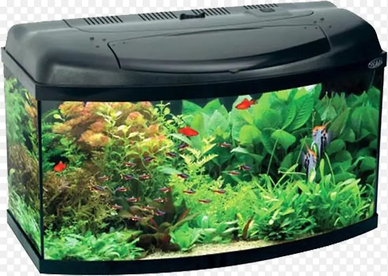 �������-������