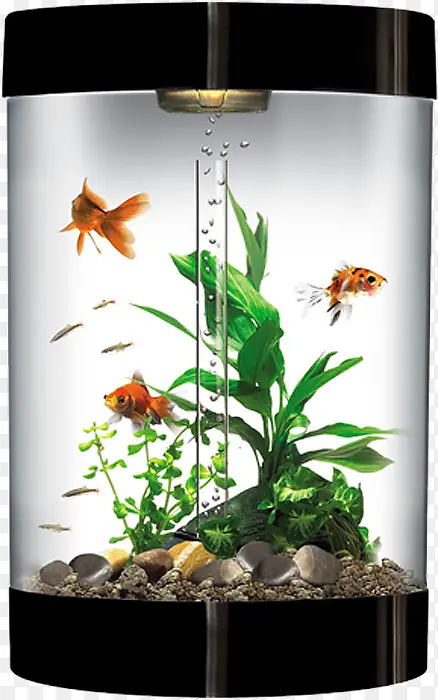 �������-������