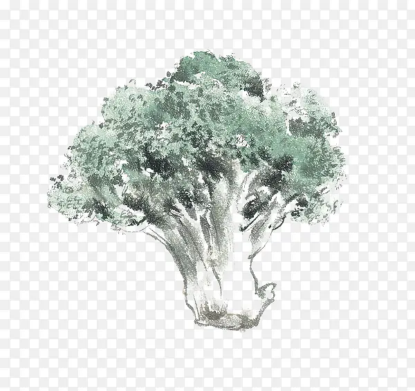 �ֻ滨Ҭ��-������