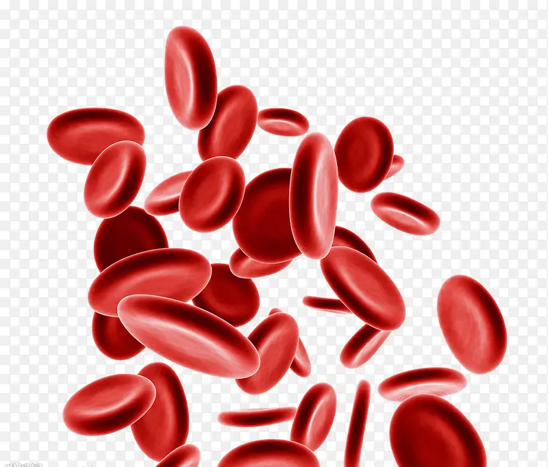 ��Ѫ��-������