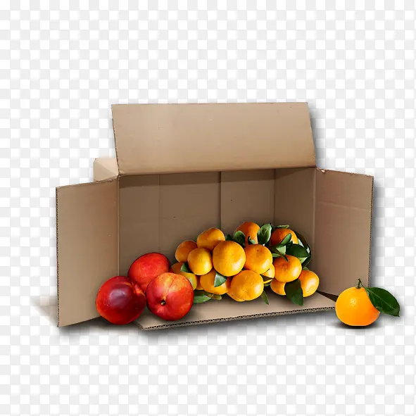 ֽ�� ˮ��-������