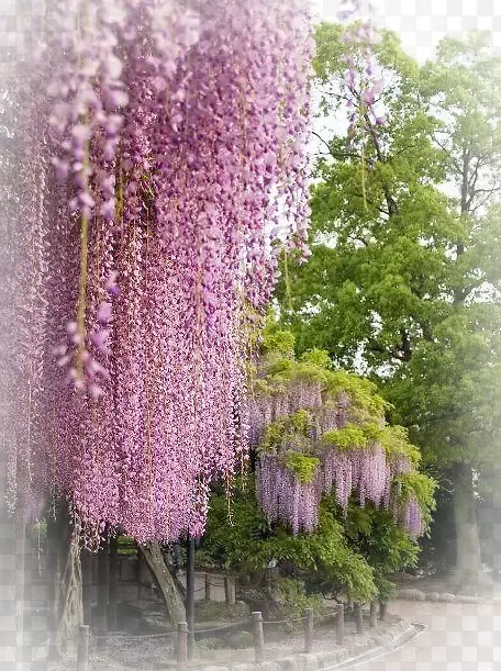 װ�λ���ͼ��-������