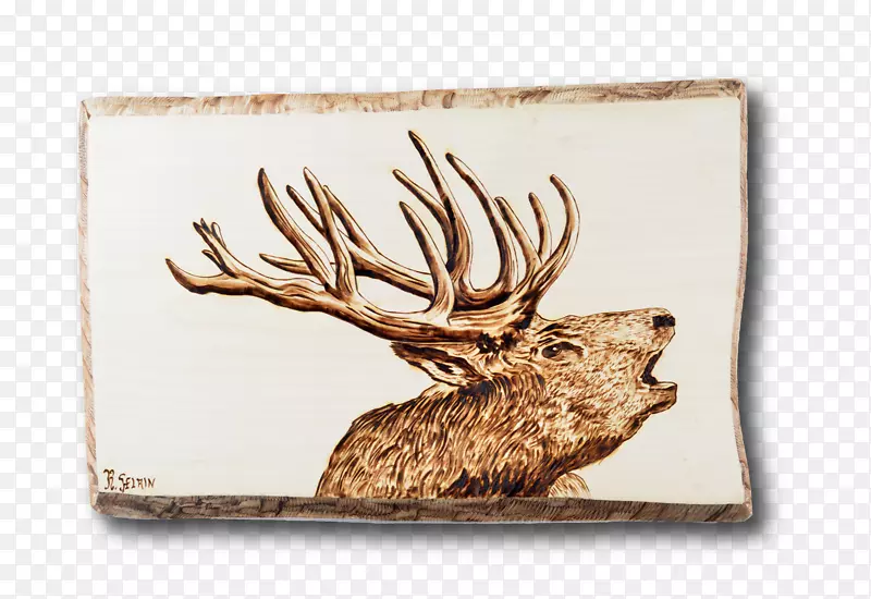 �滭����ľ��Ф��-�����-������