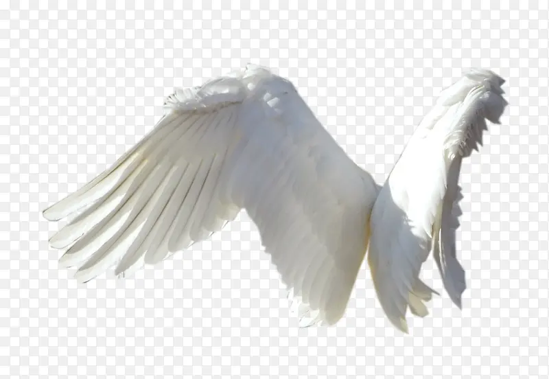 ���-������