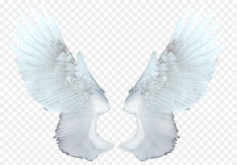 ���-������