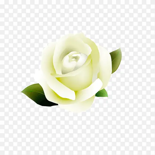 ��ɫõ��-������