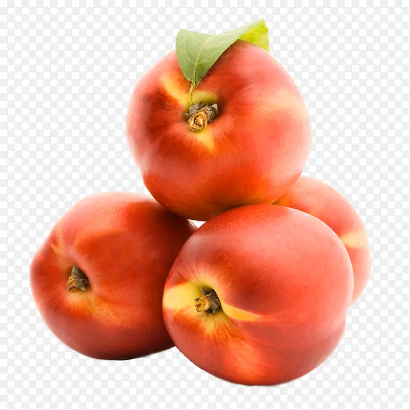 ���������ʳ���ز�-������