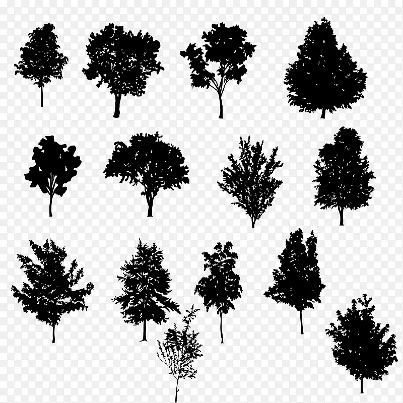 ����Ӱ-������