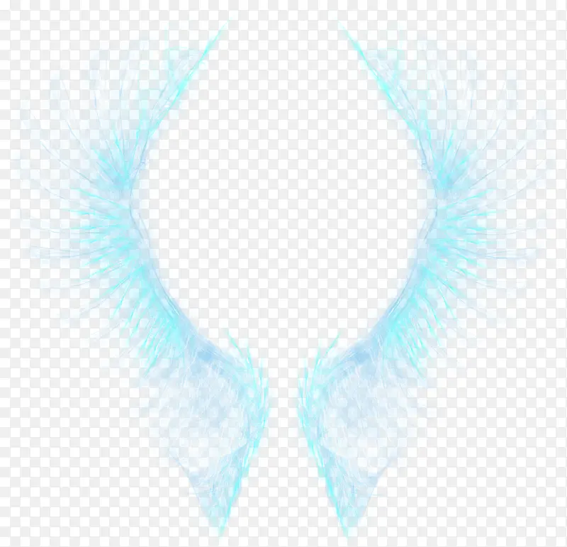 ��ɫ���-������