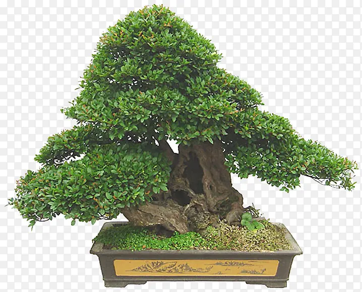 ���͹����辰-������