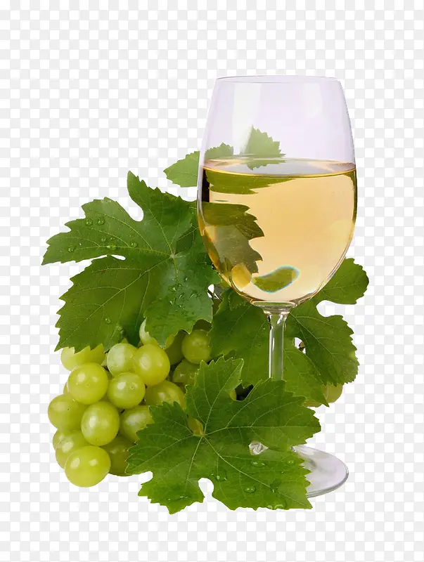 ���Ѿ�-������