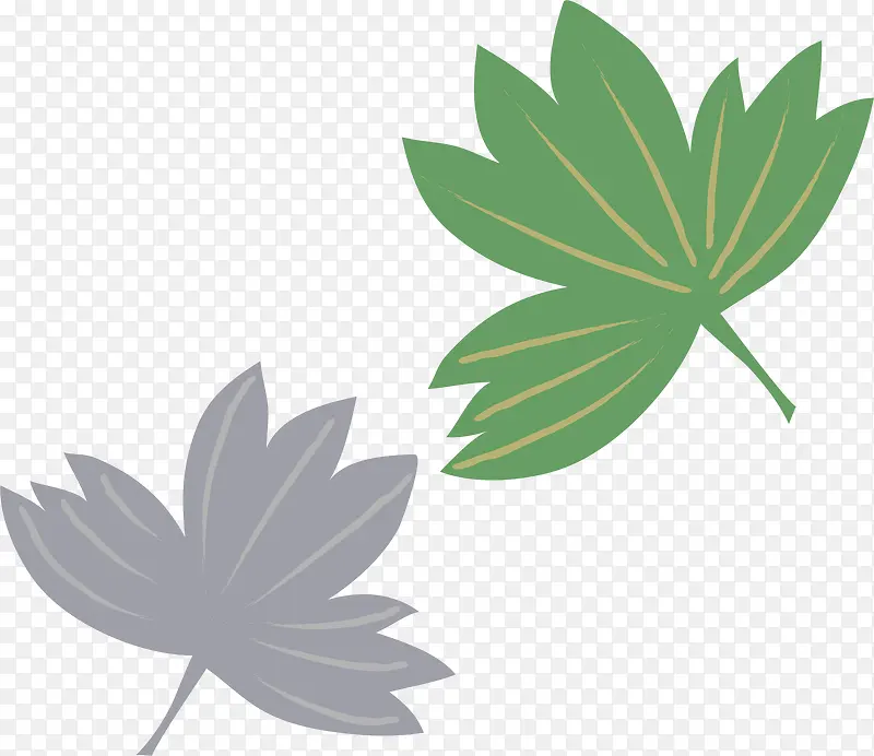 ��ͨ��Ҷ-������