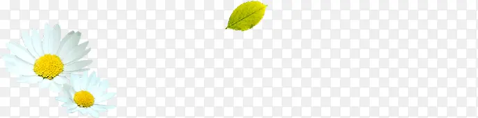 �����ɫƯ������-������