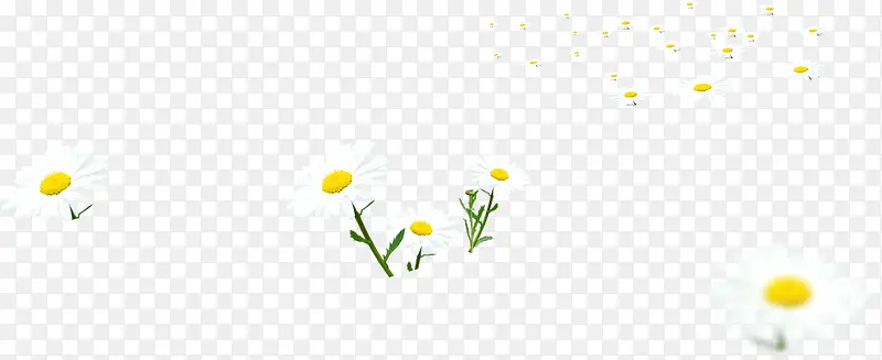 ����Ư����ɫ����-������