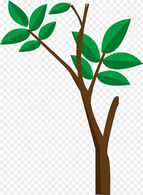 �����ƽ����ľ-������