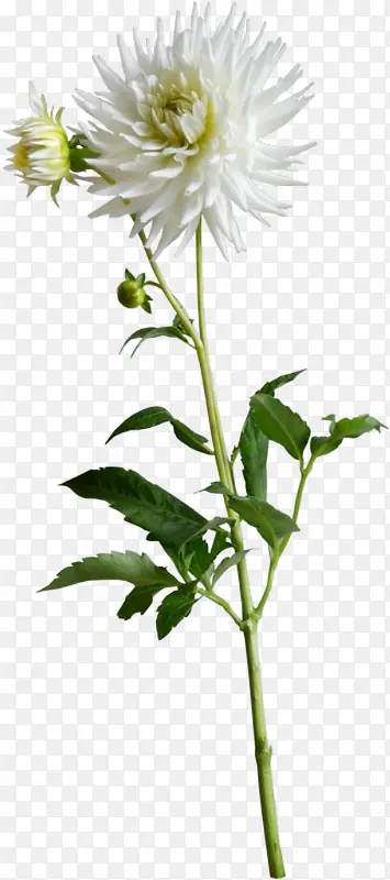 װ�λ��ݱ����ز�-������