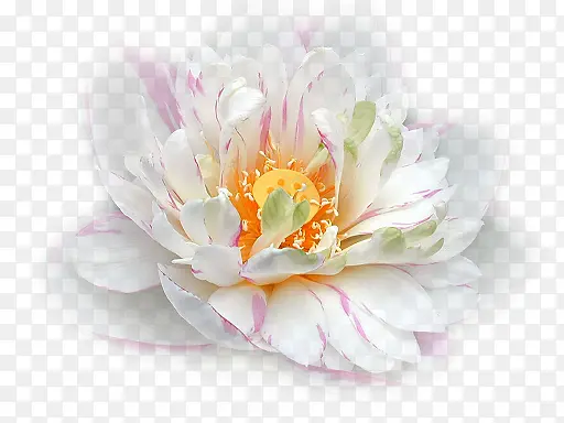 ��仨���ֻ�װ���ز�-������