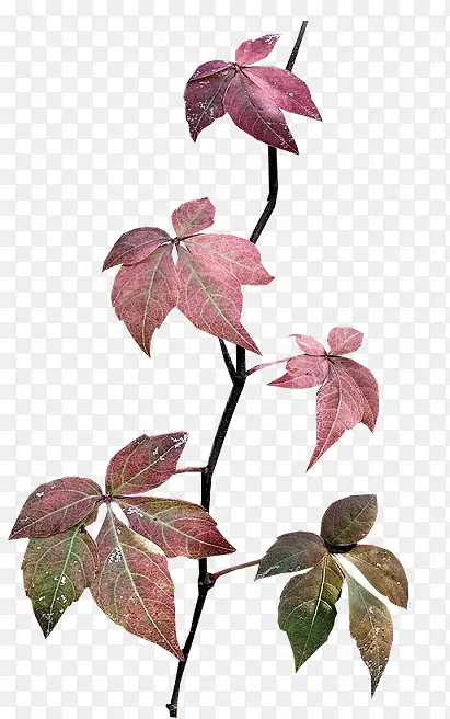 �ֻ�װ���ز���仨��-������